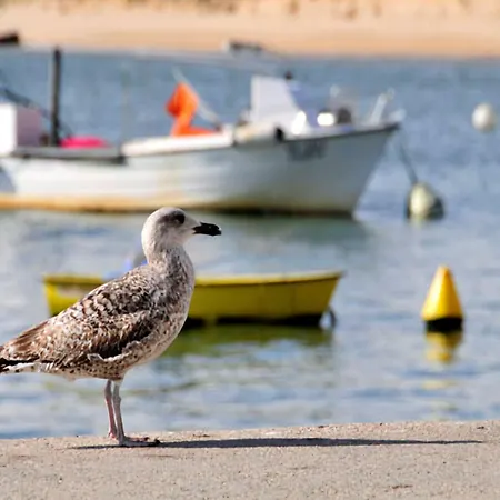 Villa Quadradinhos 3q 4 Bedrooms Private Pool Short Walk To The Praca Vale do Lobo